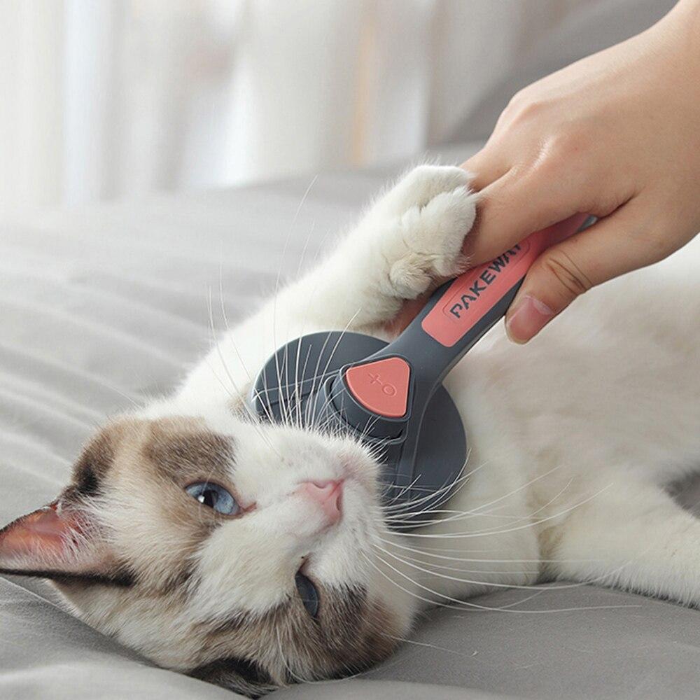 Brosse de toilettage pour animaux (chiens, chats, lapins...) – Anibrush