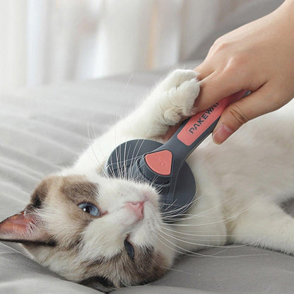 Brosse de toilettage pour animaux (chiens, chats, lapins...) – Anibrush